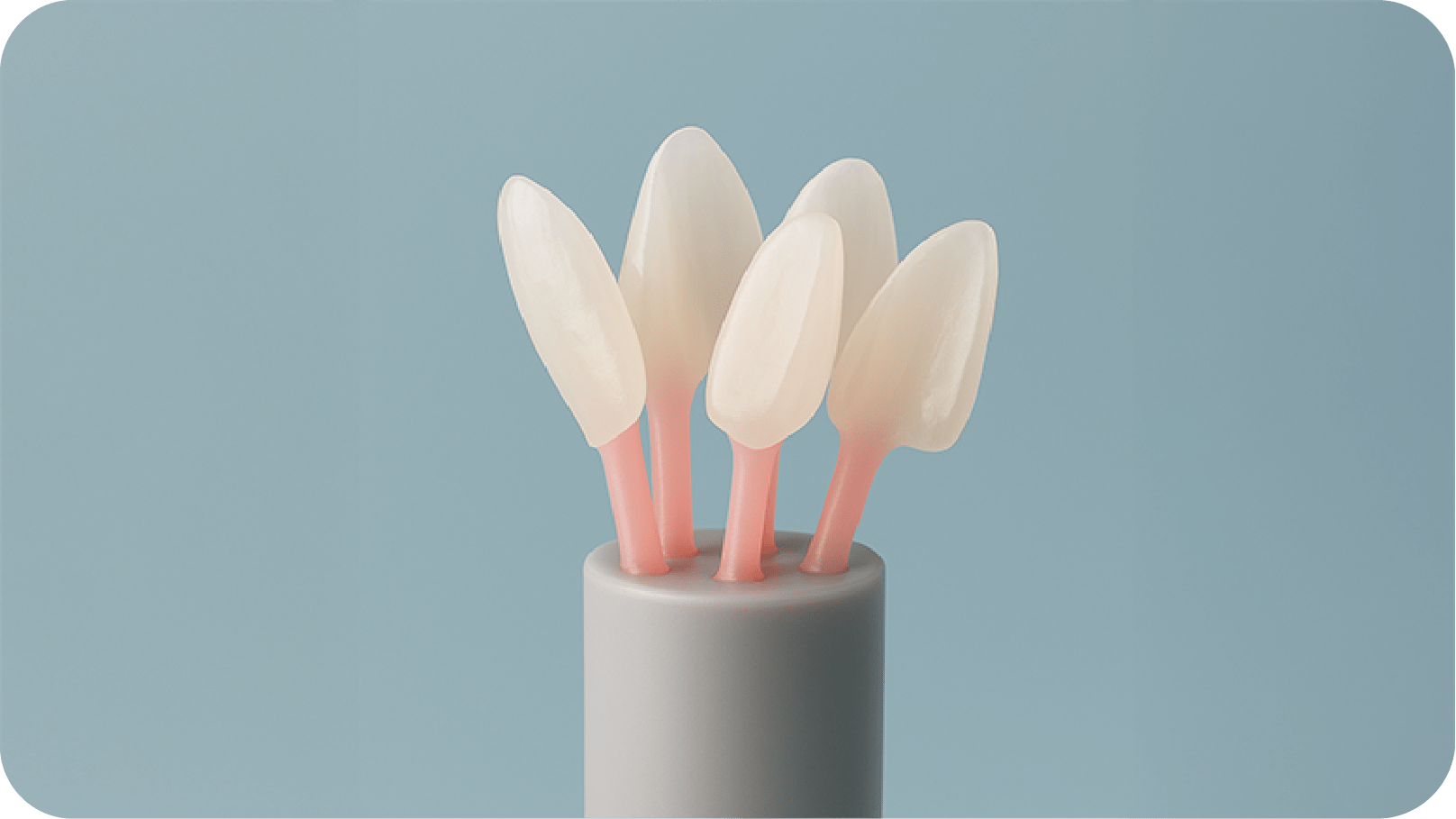 Portfolio Card Image